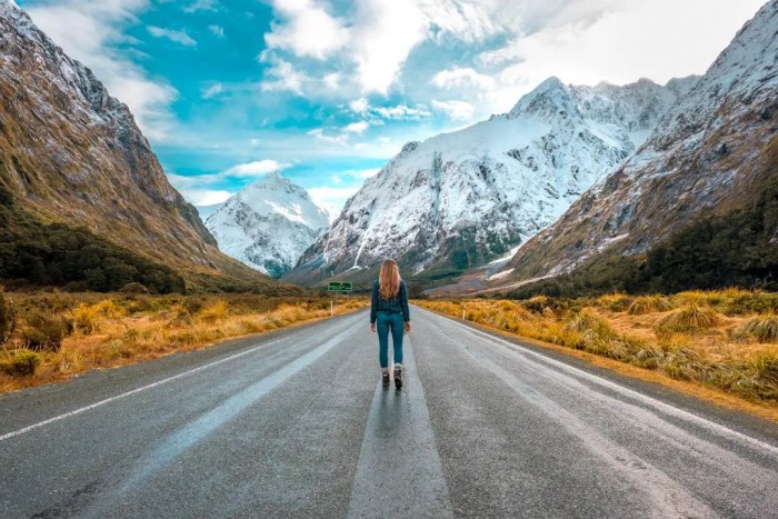 Road Trip Guide for Exploring New Zealand